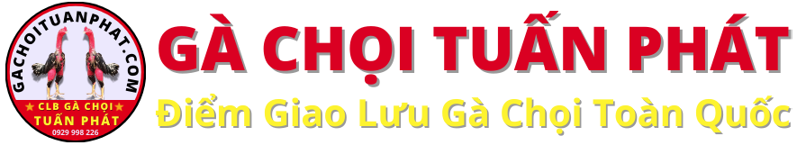 CLB Gà Chọi Tuấn Phát